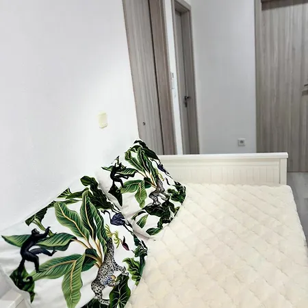 Paradise Zino * 卢布尔雅那