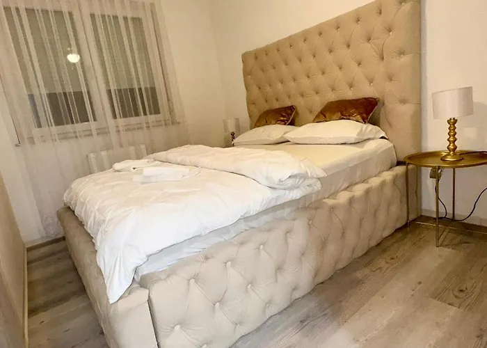 Paradise Zino * Ljubljana