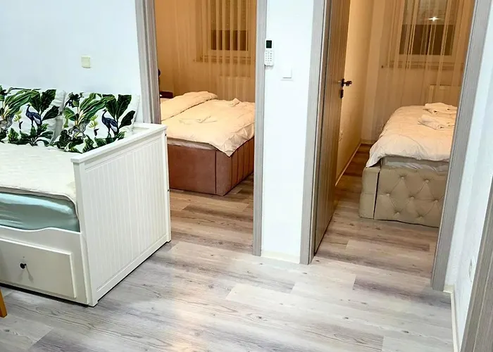 Paradise Zino Ljubljana